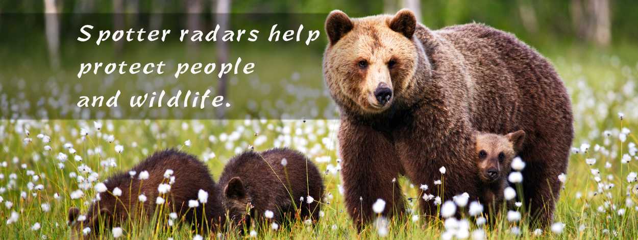 Radars Helping With Bear Conservation Efforts A.k.a Bear-Dar | Spotter ...